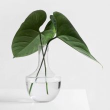 Modern Furnishings Teardrop Vase